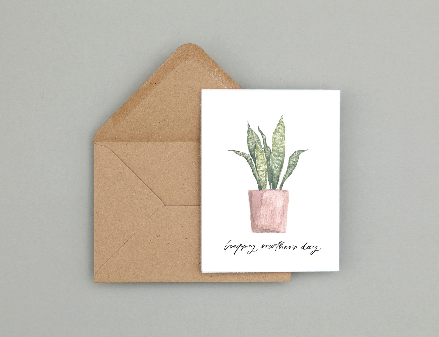 Mother's Day snake plant