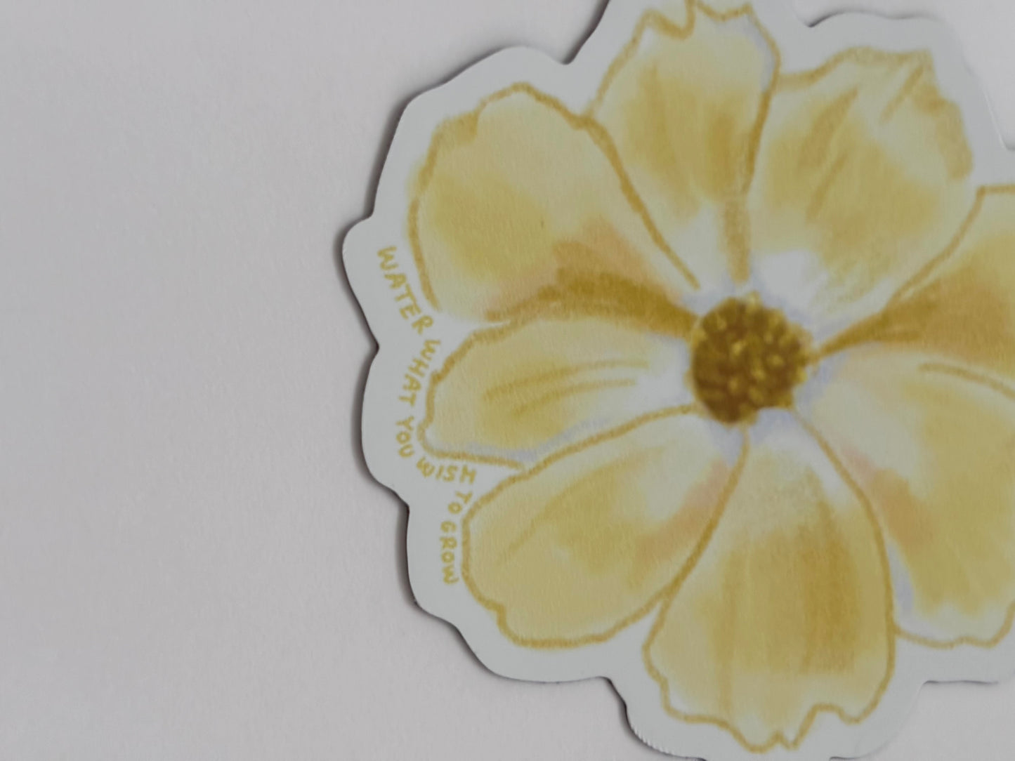 Floral magnet set