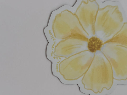 Floral magnet set