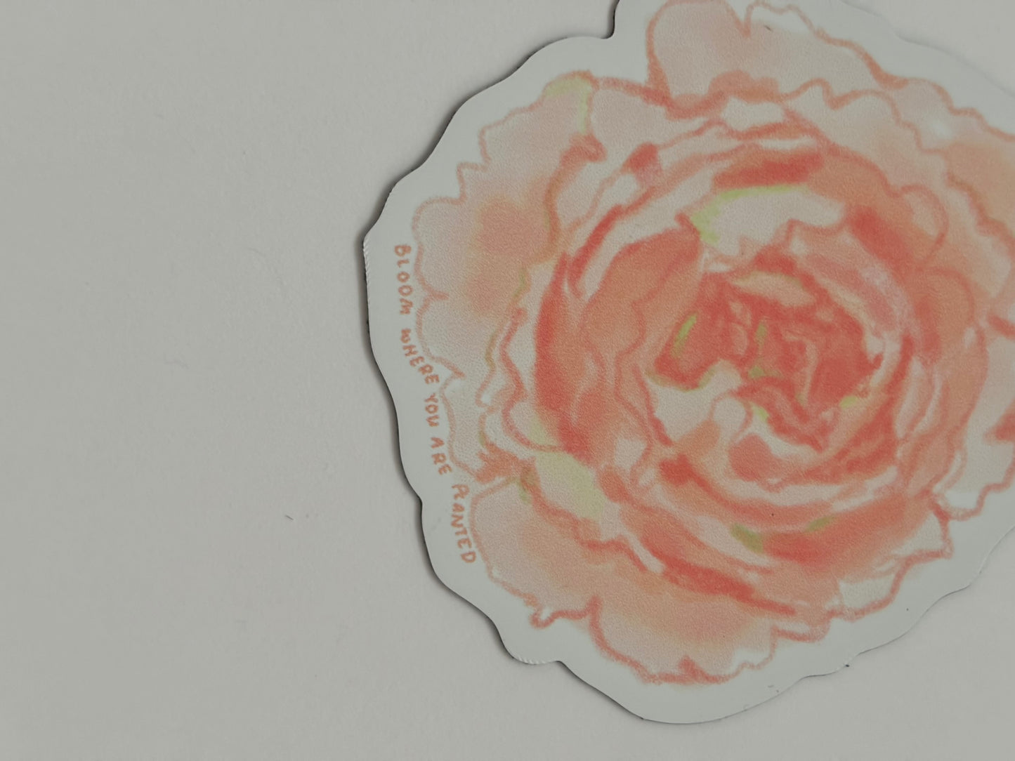 Floral magnet set