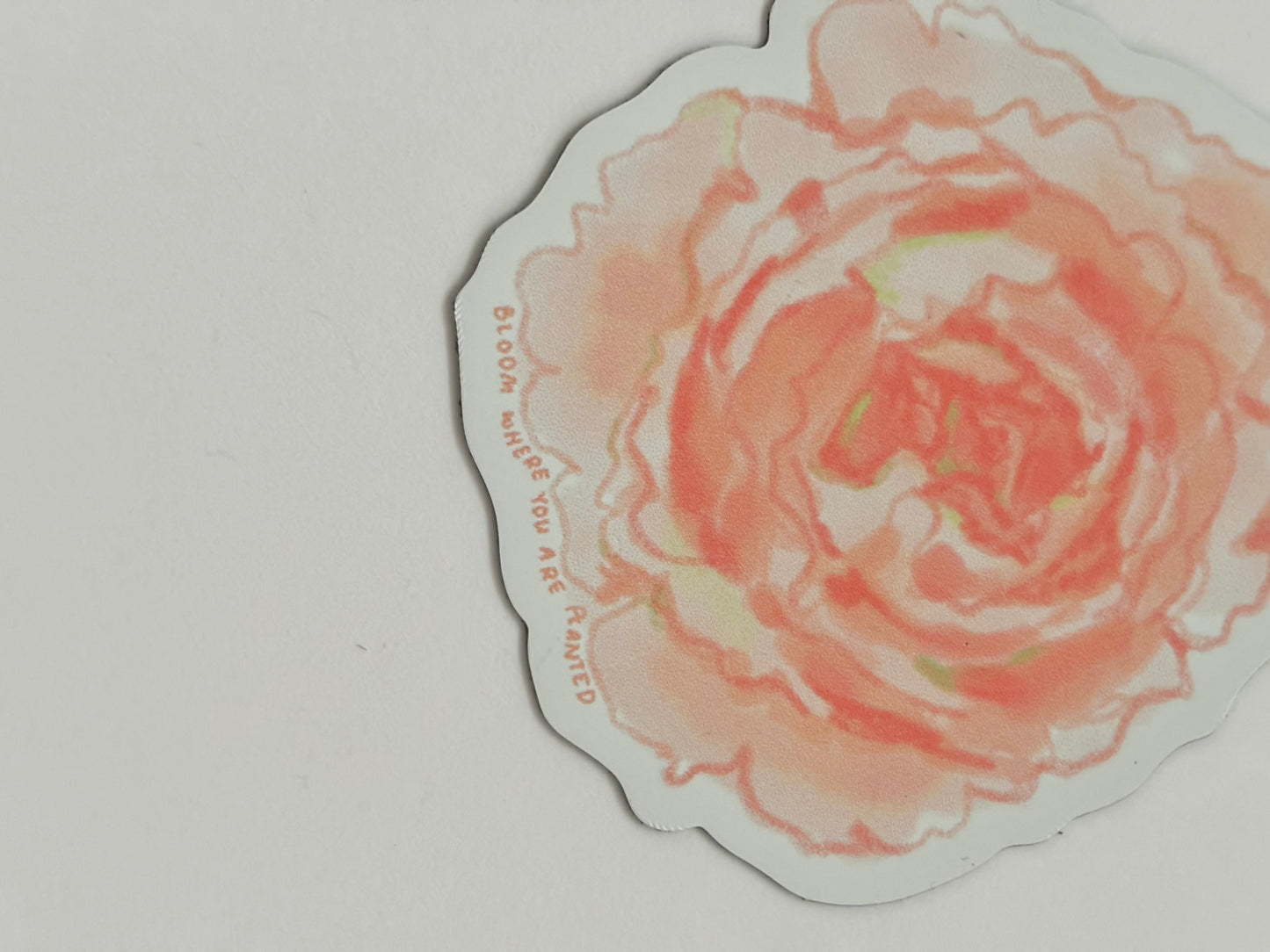 Floral magnet set