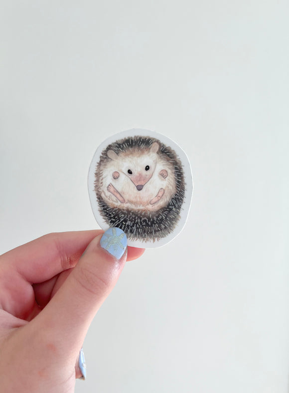 Hedgehog sticker